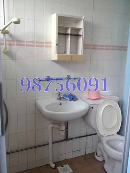 Blk 202 Choa Chu Kang Avenue 1 (Choa Chu Kang), HDB 4 Rooms #146893262